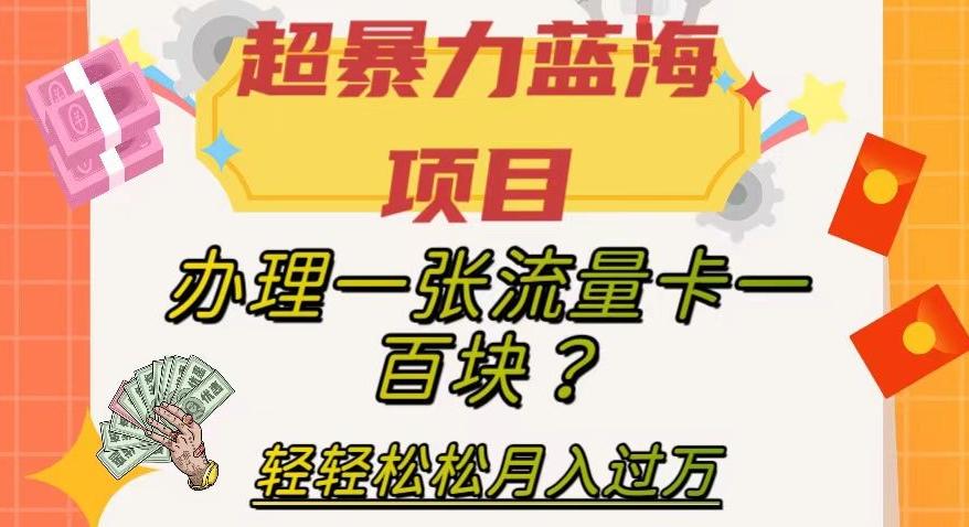 超暴力蓝海项目,办理一张流量卡一百块?轻轻松松月入过万,保姆级教程【揭秘】-康仁安网创
