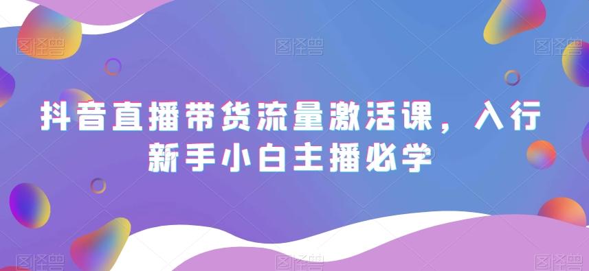 抖音直播带货流量激活课,入行新手小白主播必学-康仁安网创