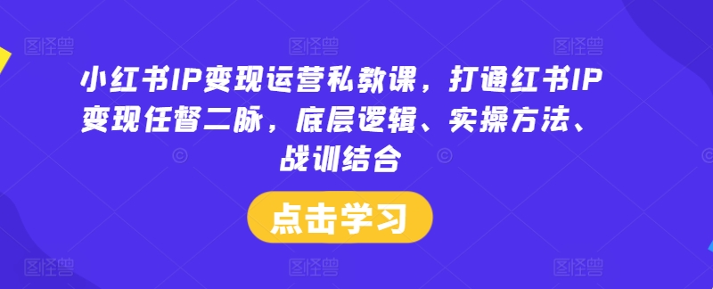小红书IP变现运营私教课,打通红书IP变现任督二脉,底层逻辑、实操方法、战训结合-康仁安网创