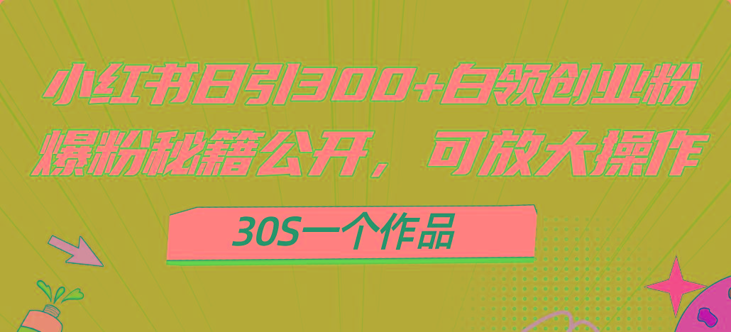 小红书日引300+高质白领创业粉，可放大操作，爆粉秘籍！30s一个作品-康仁安网创