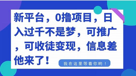 不要再花冤枉钱了，0撸项目，每天坚持，稳定1000+-康仁安网创