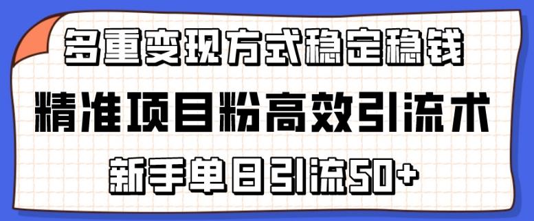 精准项目粉高效引流术，新手单日引流50+，多重变现方式稳定赚钱【揭秘】-康仁安网创