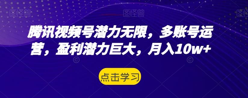 腾讯视频号潜力无限,多账号运营,盈利潜力巨大,月入10w+-康仁安网创