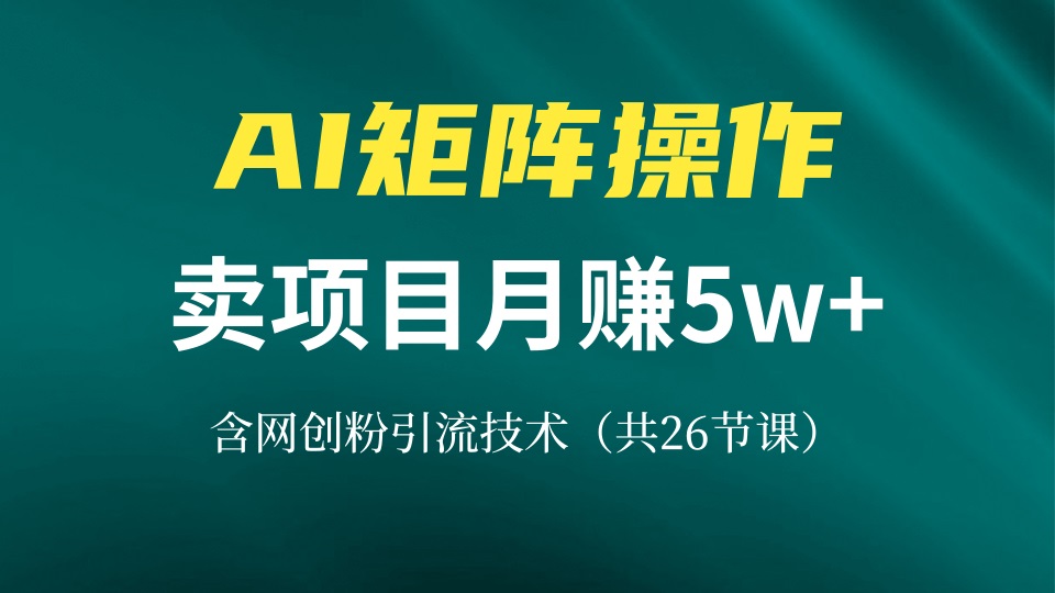 网创IP打造课，借助AI卖项目月赚5万+，含引流技术(共26节课-康仁安网创