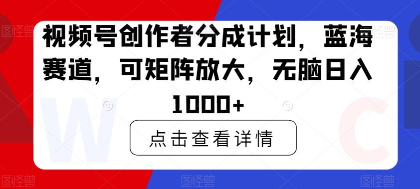 视频号创作者分成计划，蓝海赛道，可矩阵放大，无脑日入1000+-康仁安网创
