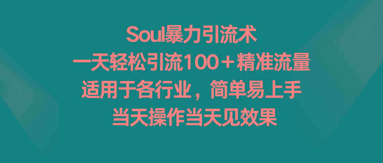 Soul暴力引流术，一天轻松引流100＋精准流量，适用于各行业，简单易上手！-康仁安网创