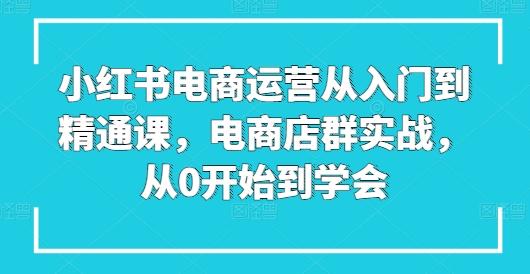 小红书电商运营从入门到精通课,电商店群实战,从0开始到学会-康仁安网创