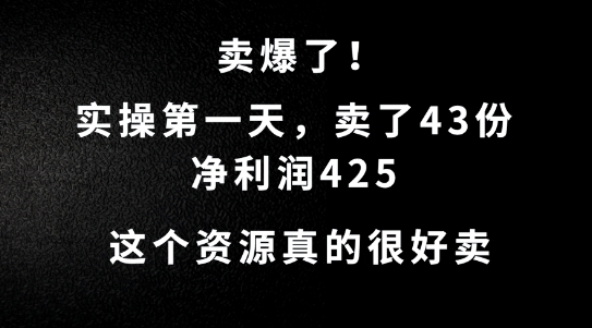 这个资源,需求很大,实操第一天卖了43份,净利润425【揭秘】-康仁安网创