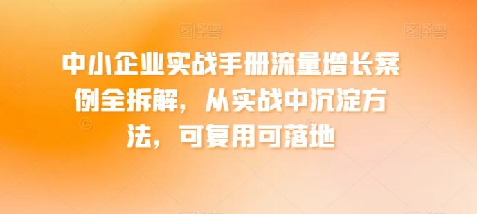 中小企业实战手册流量增长案例全拆解,从实战中沉淀方法,可复用可落地-康仁安网创