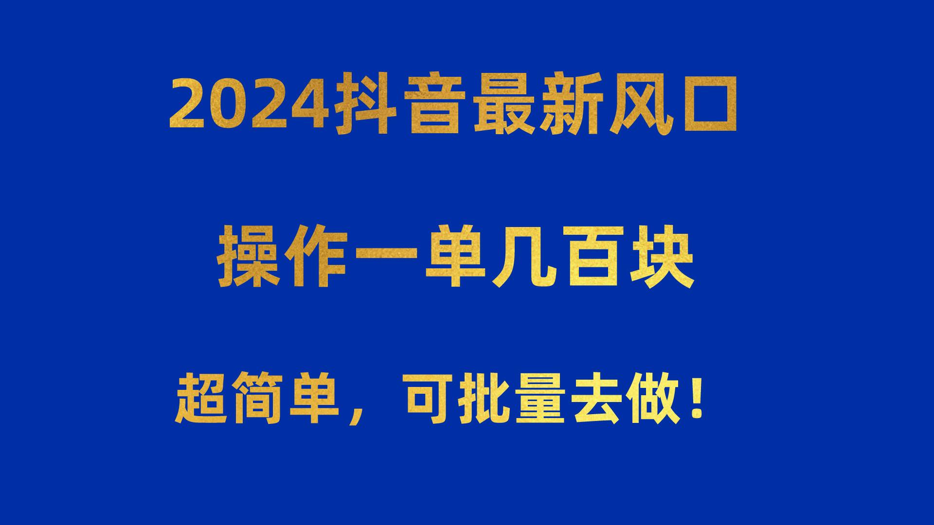 2024抖音最新风口！操作一单几百块！超简单，可批量去做！！！-康仁安网创