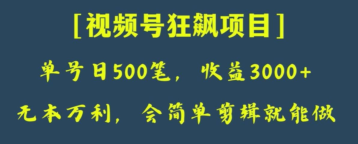 日收款500笔,纯利润3000+,视频号狂飙项目,会简单剪辑就能做【揭秘】-康仁安网创
