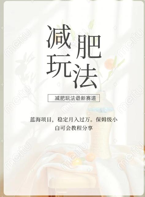 减肥流量主新玩法，轻松月入1W，可矩阵操作收入翻倍-康仁安网创