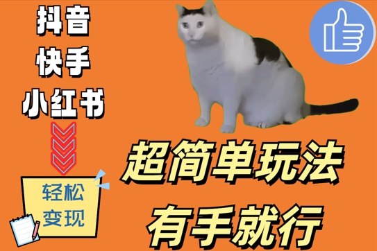 超简单玩法,有手就行,靠猫咪视频日入500+【揭秘】-康仁安网创