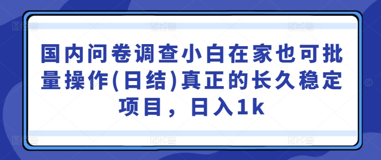 国内问卷调查小白在家也可批量操作(日结)真正的长久稳定项目,日入1k【揭秘】-康仁安网创