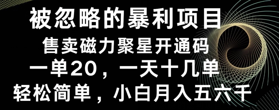 被忽略的暴利项目！售卖磁力聚星开通码，一单20，一天十几单，轻松月入五六千-康仁安网创