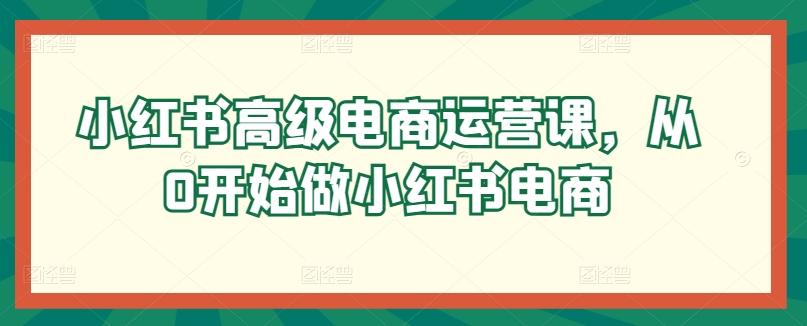 小红书高级电商运营课,从0开始做小红书电商-康仁安网创