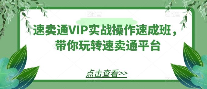 速卖通VIP实战操作速成班,带你玩转速卖通平台-康仁安网创