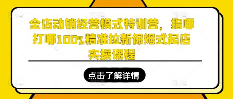 全店动销经营模式特训营,指哪打哪100%精准拉新保姆式起店实操课程-康仁安网创