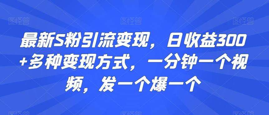 最新S粉引流变现，日收益300+多种变现方式，一分钟一个视频，发一个爆一个【揭秘】-康仁安网创