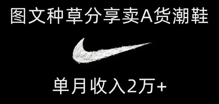 靠图文种草分享卖A货潮鞋,每天一小时,单月收入2万+【揭秘】-康仁安网创