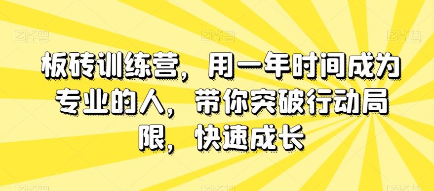 板砖训练营，用一年时间成为专业的人，带你突破行动局限，快速成长-康仁安网创