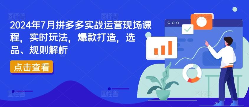 2024年7月拼多多实战运营现场课程，实时玩法，爆款打造，选品、规则解析-康仁安网创