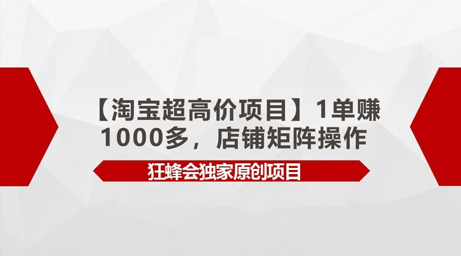 【淘宝超高价项目】1单赚1000多，店铺矩阵操作-康仁安网创