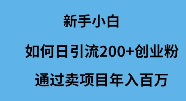 (9668期)新手小白如何日引流200+创业粉通过卖项目年入百万-康仁安网创