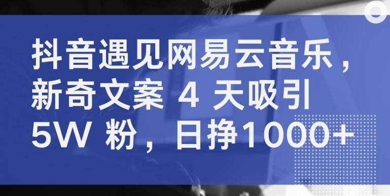 抖音遇见网易云音乐,新奇文案 4 天吸引 5W 粉,日挣1000+【揭秘】-康仁安网创