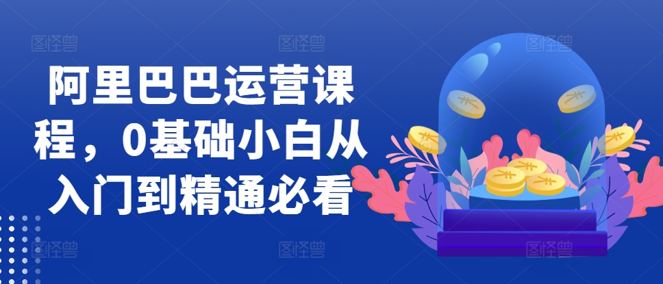 阿里巴巴运营课程，0基础小白从入门到精通必看-康仁安网创