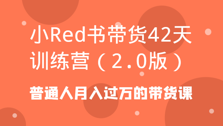 小Red书带货42天训练营(2.0版)普通人月入过万的带货课-康仁安网创