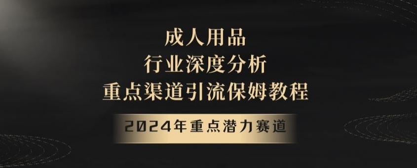 2024年重点潜力赛道,成人用品行业深度分析,重点渠道引流保姆教程【揭秘】-康仁安网创