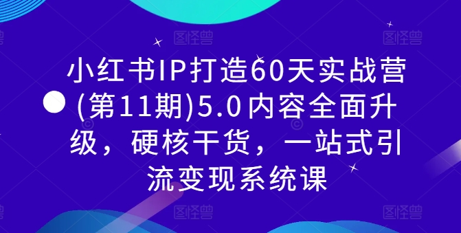 小红书IP打造60天实战营(第11期)5.0​内容全面升级，硬核干货，一站式引流变现系统课-康仁安网创