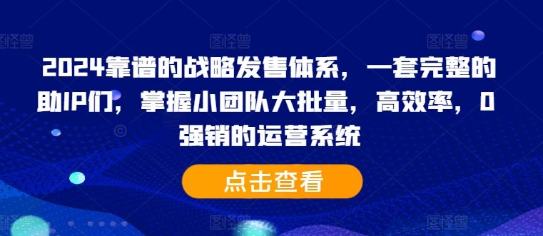 2024靠谱的战略发售体系，一套完整的助IP们，掌握小团队大批量，高效率，0 强销的运营系统-康仁安网创