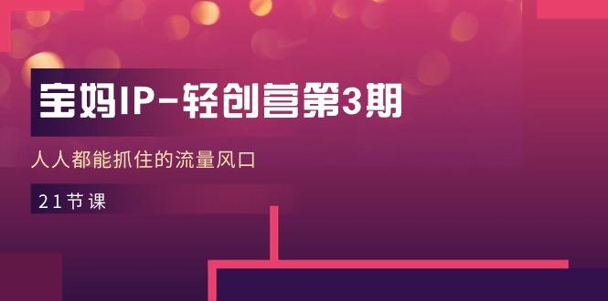 宝妈IP-轻创营第3期，人人都能抓住的流量风口(21节课-康仁安网创