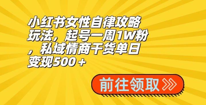 小红书女性自律攻略玩法,起号一周1W粉,私域情商干货单日变现500+-康仁安网创