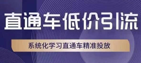 直通车低价引流课，系统化学习直通车精准投放-康仁安网创
