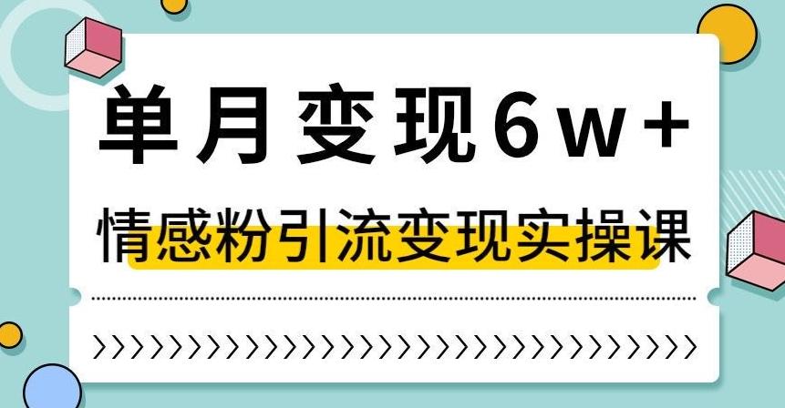 单月变现6W+,抖音情感粉引流变现实操课,小白可做,轻松上手,独家赛道【揭秘】-康仁安网创