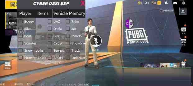 PUBG轻量老外裸奔绘制+自瞄 支持ROOT和框架 里面有全局离线-康仁安网创