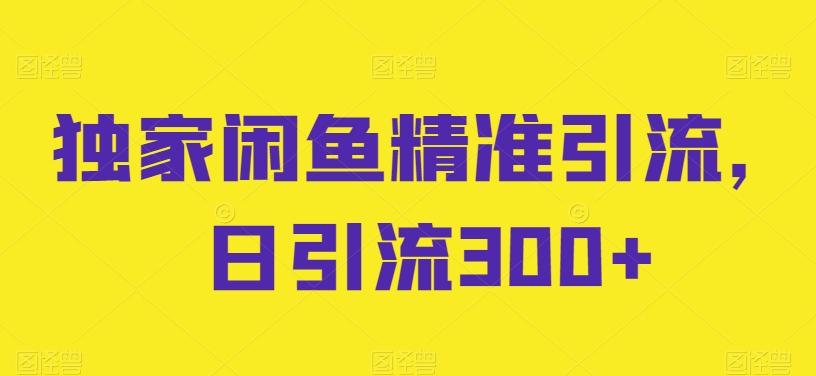 独家闲鱼精准引流，日引流300+【揭秘】-康仁安网创