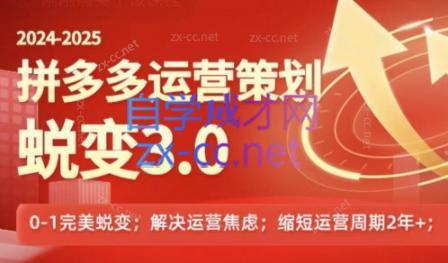 大力老师·2024拼多多运营策略蜕变3.0-康仁安网创