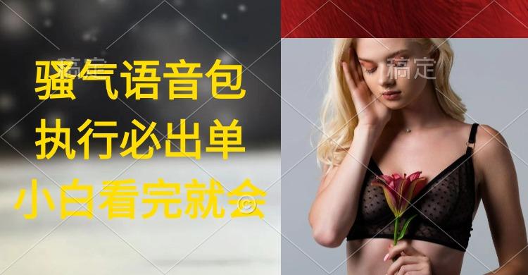 (9589期)执行就出单，日入2000+，超火骚气语音包，小白看完课程就能马上实操-康仁安网创