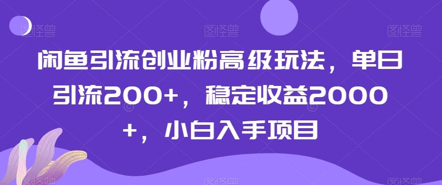 闲鱼引流创业粉高级玩法,单日引流200+,稳定收益2000+,小白入手项目-康仁安网创