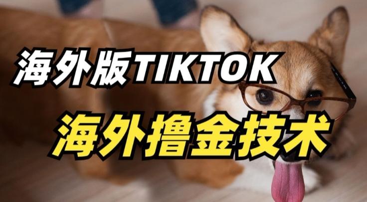 抖音海外版tiktok撸金技术,这个风口行业,赚钱真的不难【揭秘】-康仁安网创