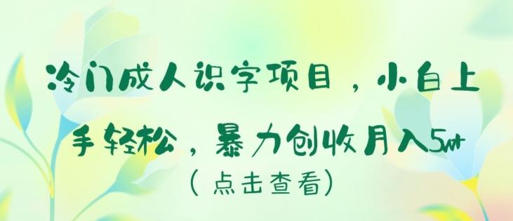 冷门成人识字项目,小白上手轻松,暴力创收月入5w+【揭秘】-康仁安网创