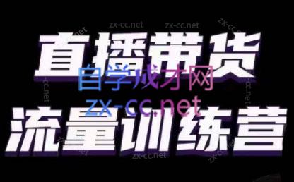 婉婉·直播带货课程系列合集(更新8月)-康仁安网创