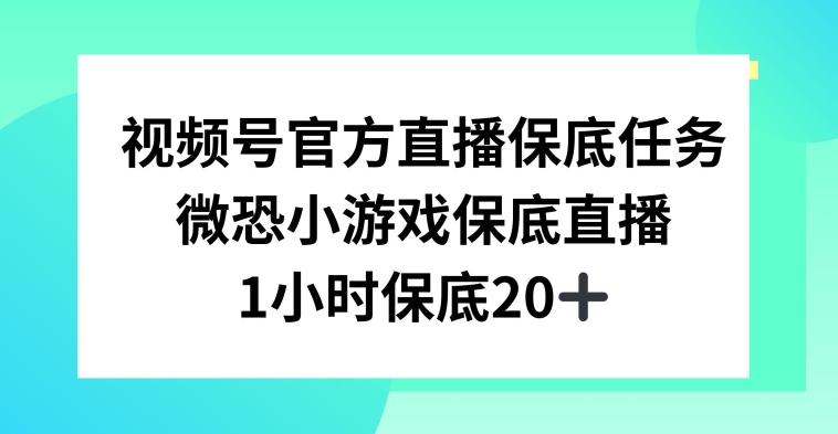 视频号直播任务，微恐小游戏，1小时20+【揭秘】-康仁安网创