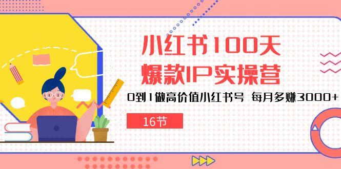 小红书100天-爆款IP实操营，0到1做高价值小红书号 每月多赚3000+(16节-康仁安网创