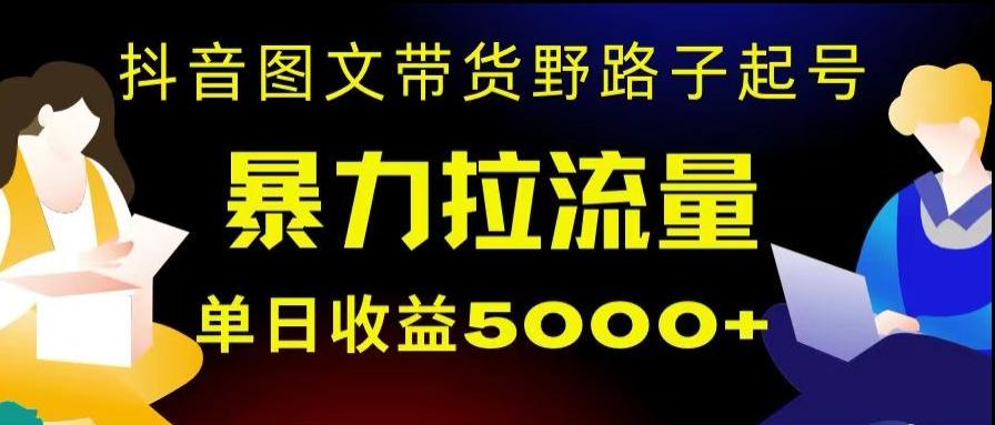抖音图文带货暴力起号,单日收益5000+,野路子玩法,简单易上手,一部手机即可【揭秘】-康仁安网创