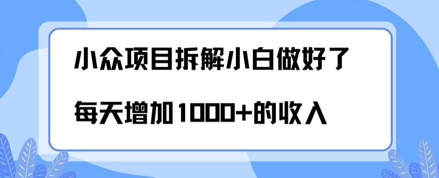 小众项目拆解，小白做好了每天可增加1000多的收入-康仁安网创